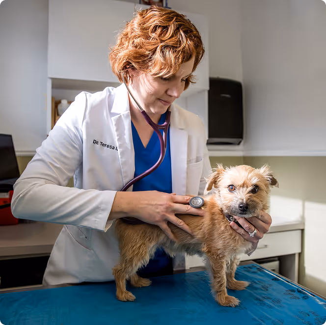 a woman in a white coat holding a dog