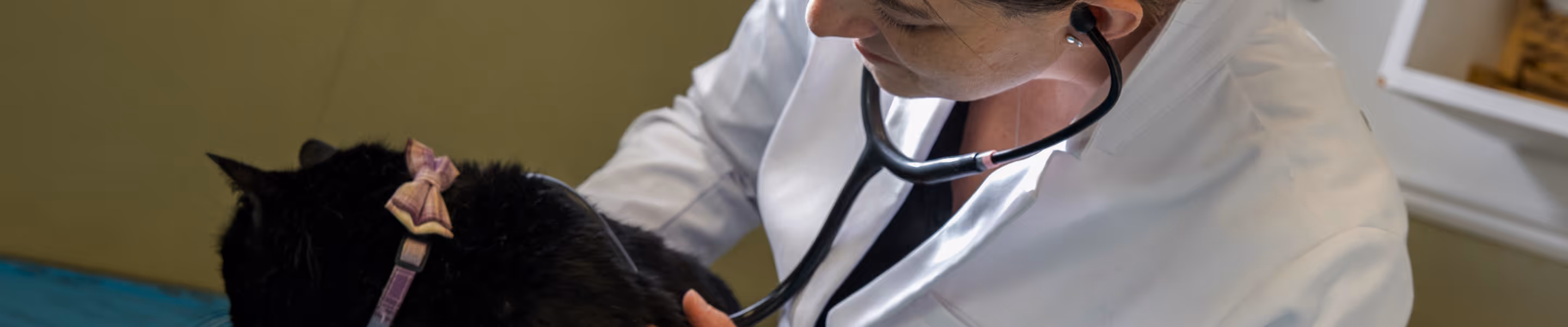 a woman in a white coat with a stethoscope around her neck
