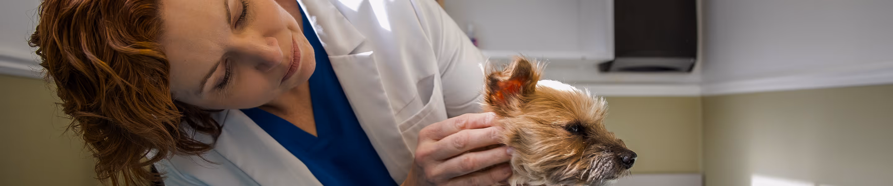 a person holding a dog