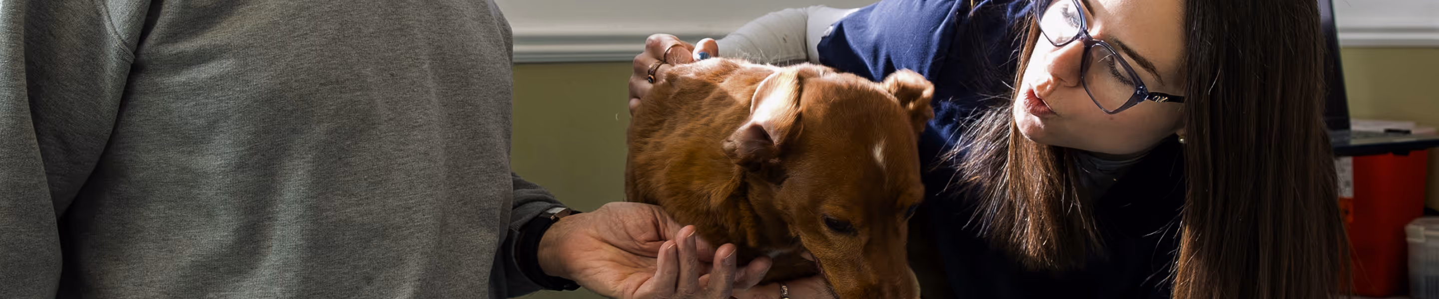 a person holding a dog