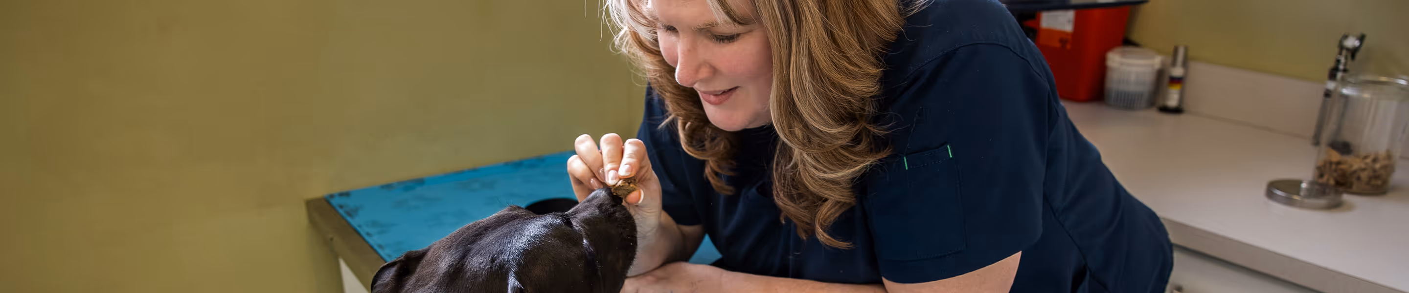 a woman feeding a dog
