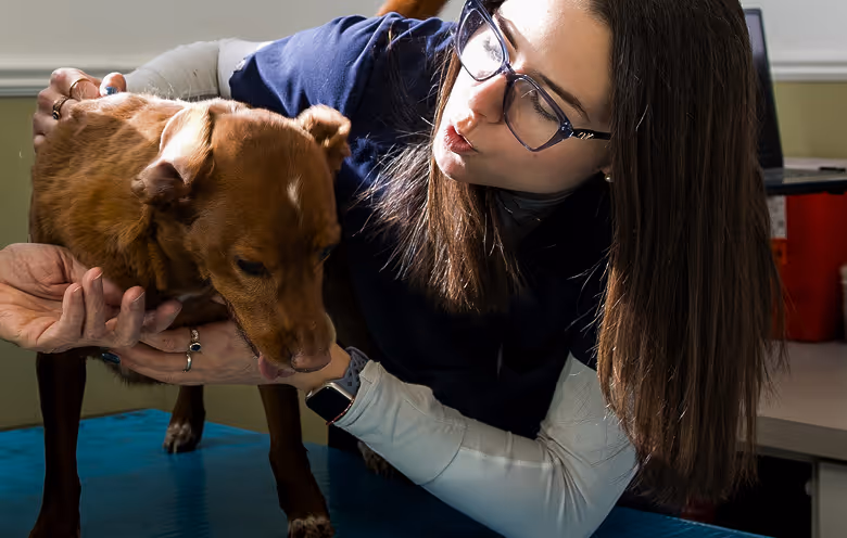 a woman kissing a dog