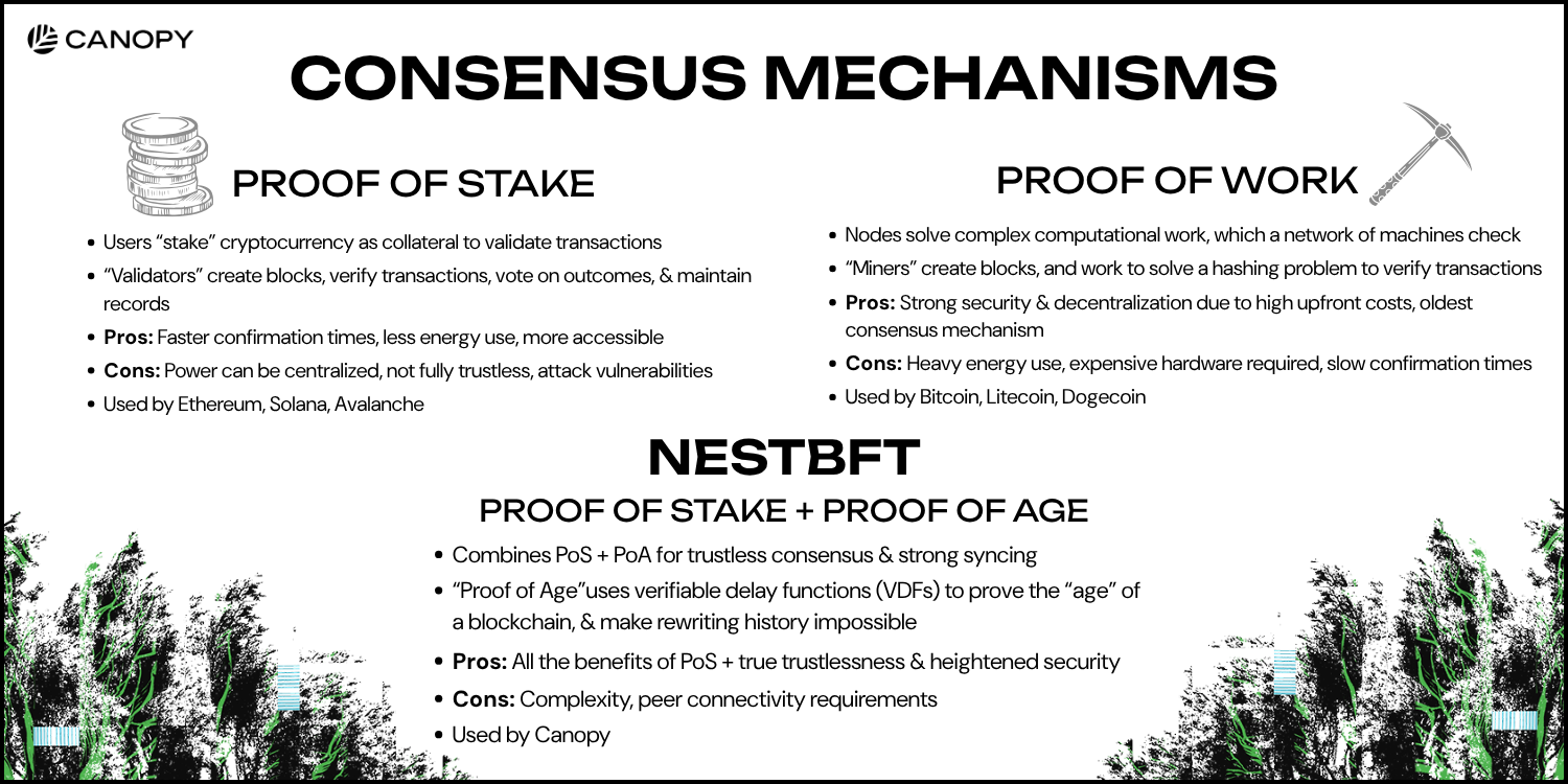 Proof of Stake vs Proof of Work breakdown under "Consensus Mechanisms" heading, along with Canopy's NestBFT definition, with two glitchy green and black tree borders on the bottom.