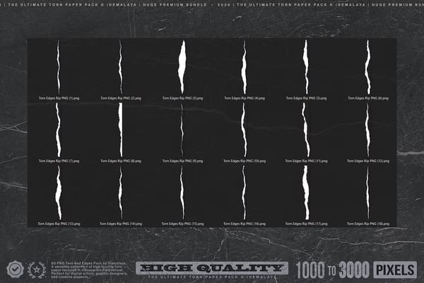 Torn paper texture elements displayed showing different styles of ripped paper edges and distressed effects