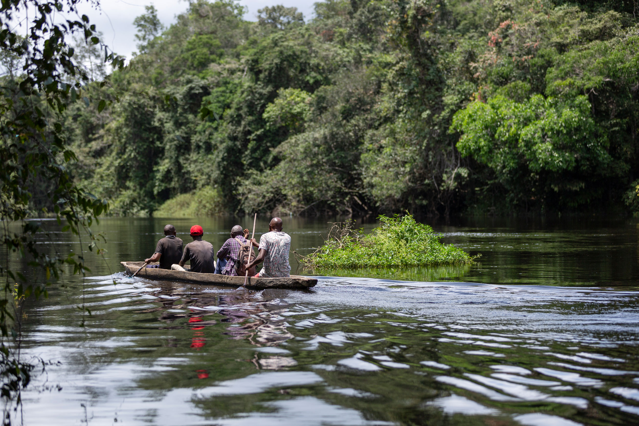 A group of men in Gabon paddle down a river in a wooden boat