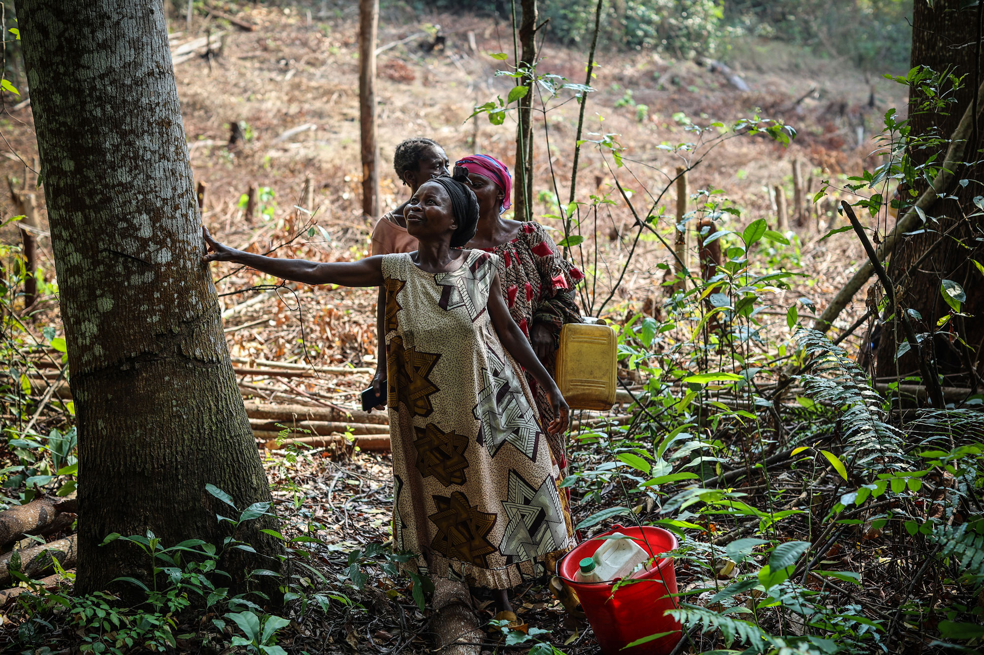 Three women walk in the forest in the Democratic Republic of Congo