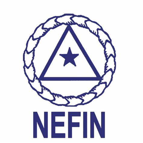 NEFIN logo