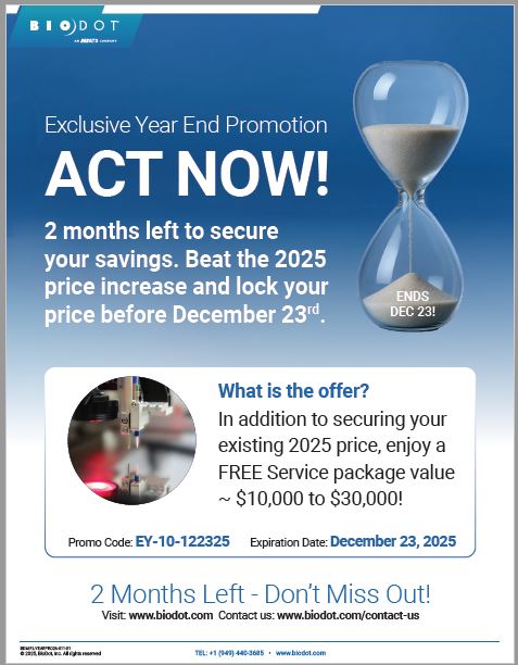 Year-End Promo Flyer 2025