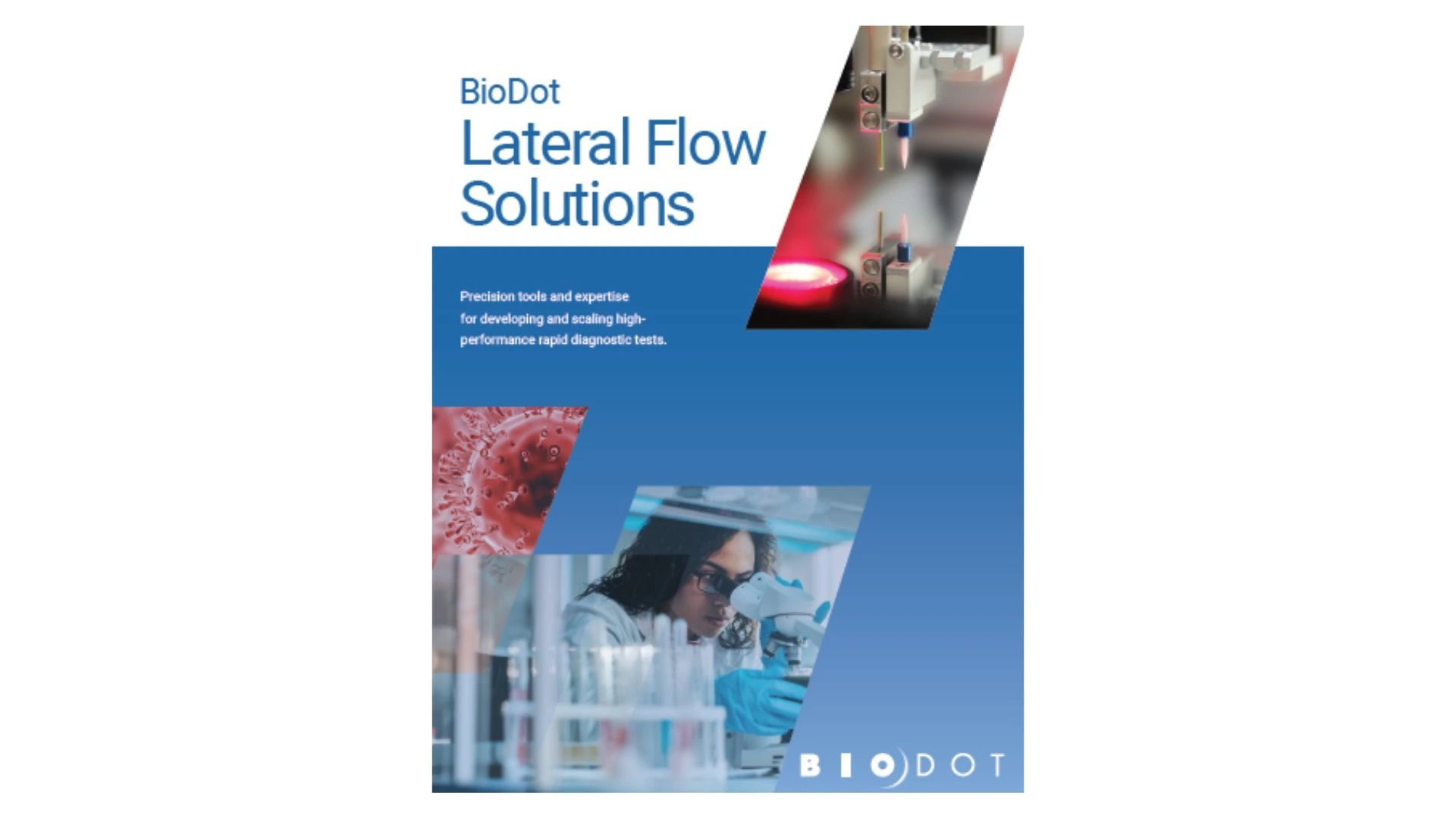 Lateral Flow Test Manufacturing 