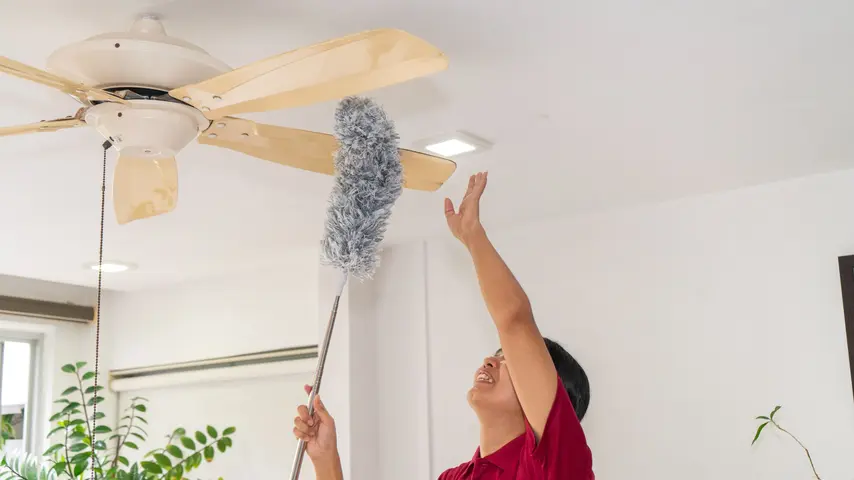 RitzHelper cleaner dusting a ceiling fan during a home cleaning session