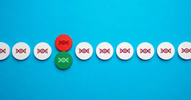 Gene Editing Companies Landscape in 2025: Who’s Worth Calling and What They Likely Need