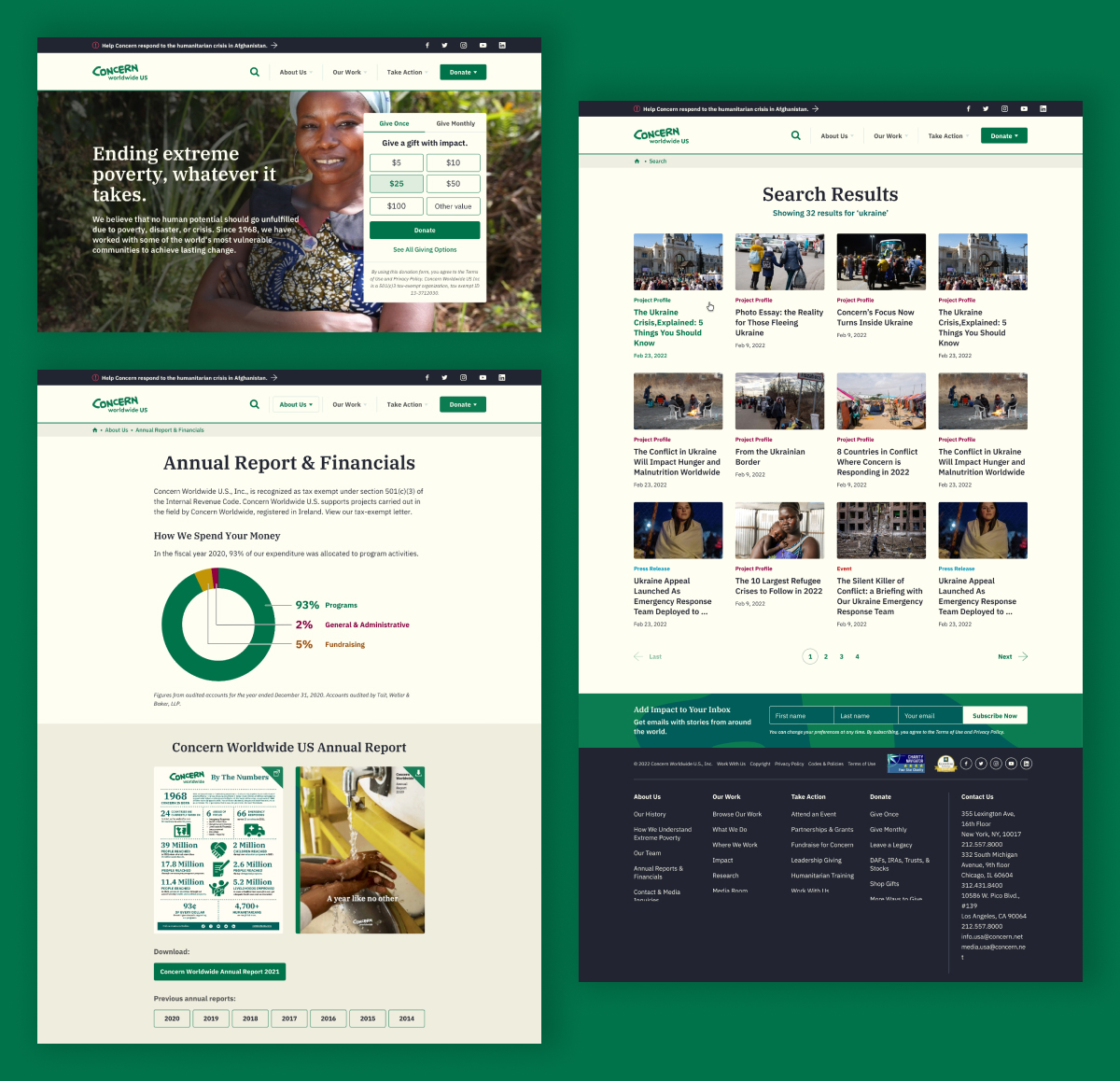 Snapshots of design findings for the Concern website, showing the hero section of the home page, the annual reports page, and example search results page.