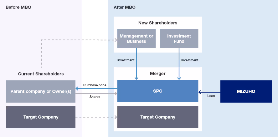 Structure of a typical MBO