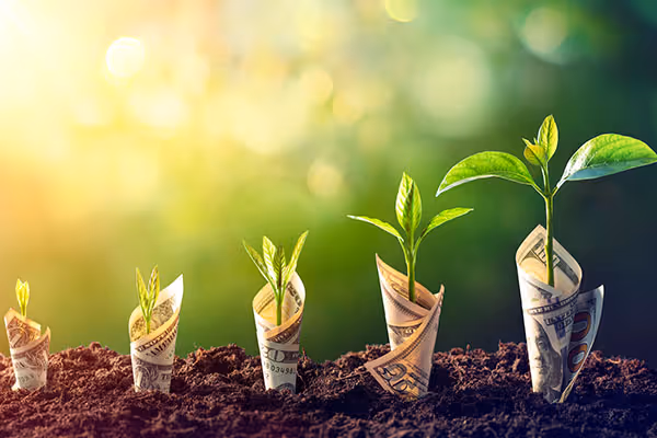 IDP 97 | Grow Your Revenue