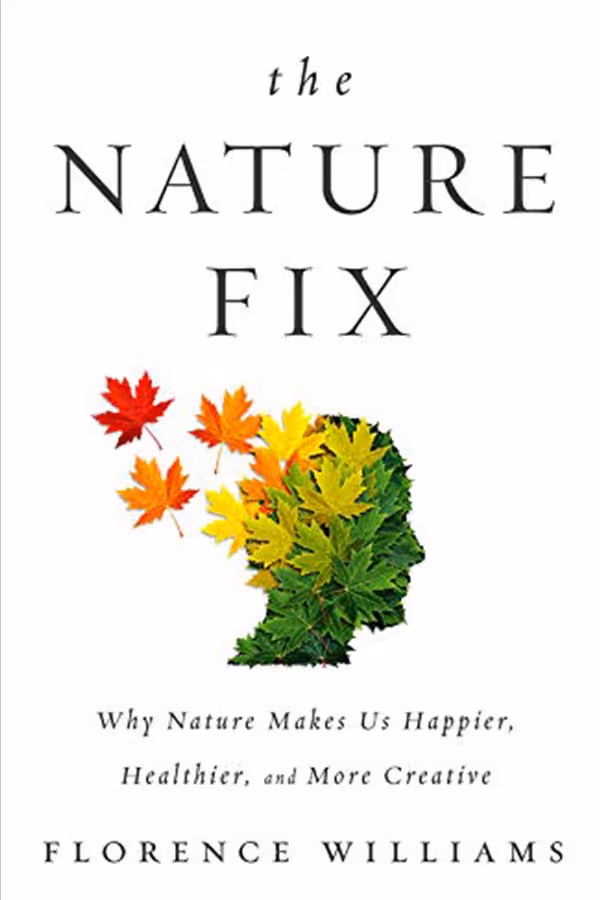 IDP 100 | Become An Entrepreneur