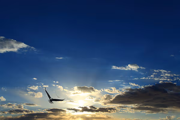 IDP 112 | Health Tips