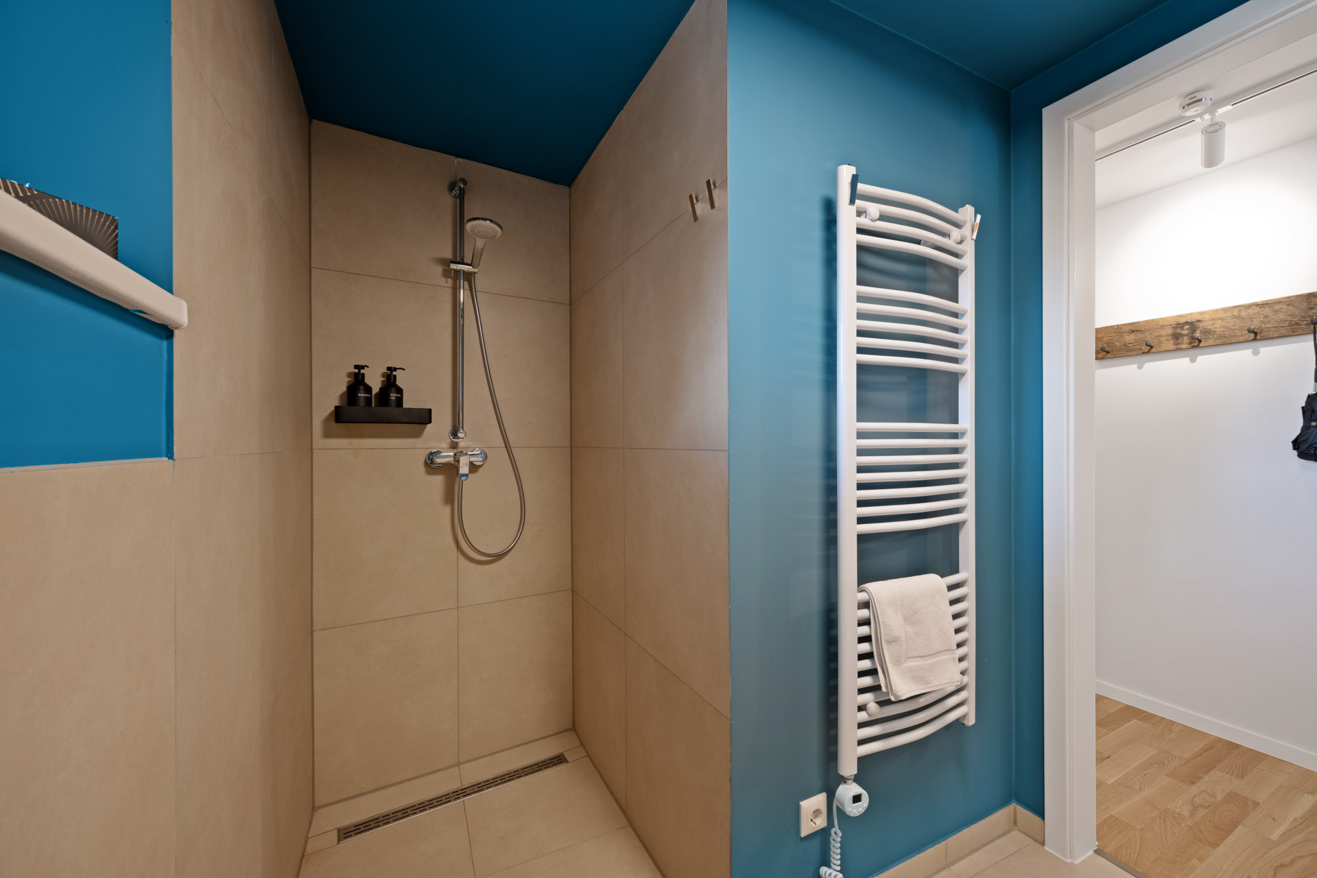 Ebenerdige Dusche im Badezimmer der Ferienwohnung Eisvogel