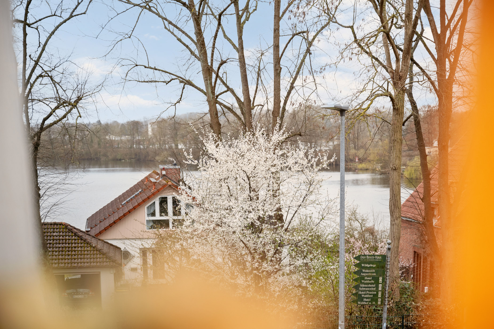 Blick aus der Ferienwohnung Sperling ins Grüne und zum See