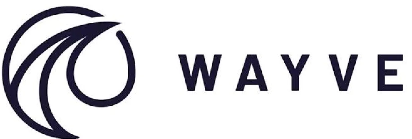 Wayve