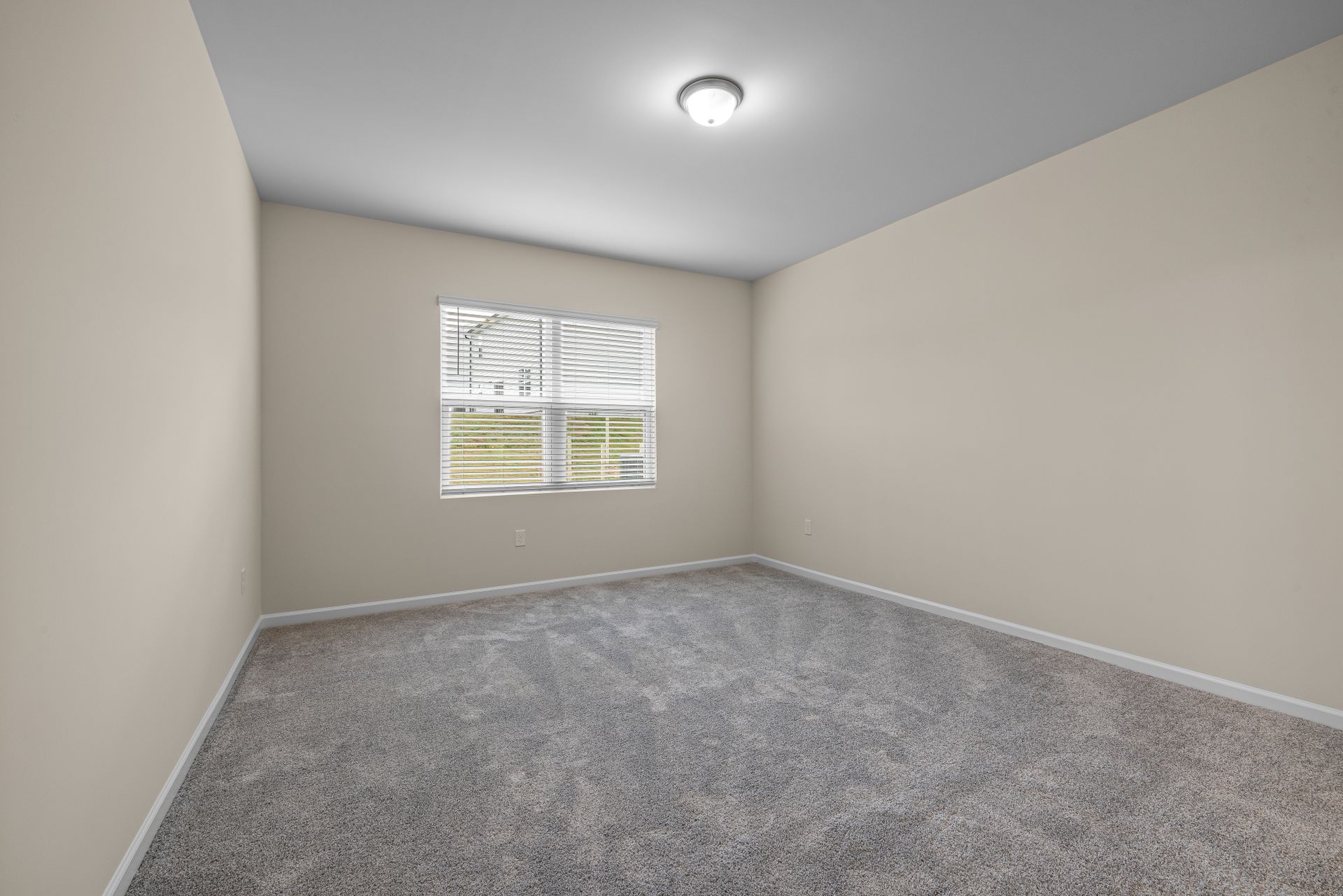 Carpet