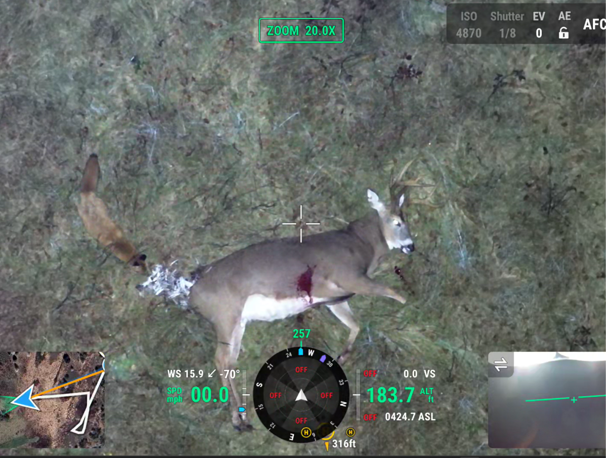 Drone camera view of a downed buck during a SkyHound search