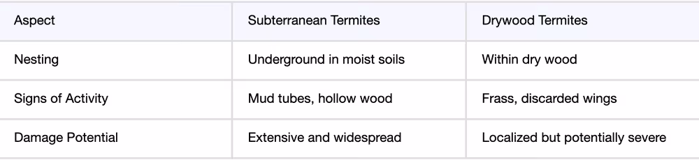 comparison chart of subterranean vs drywood termites