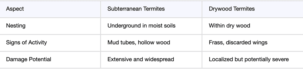 comparison chart of subterranean vs drywood termites