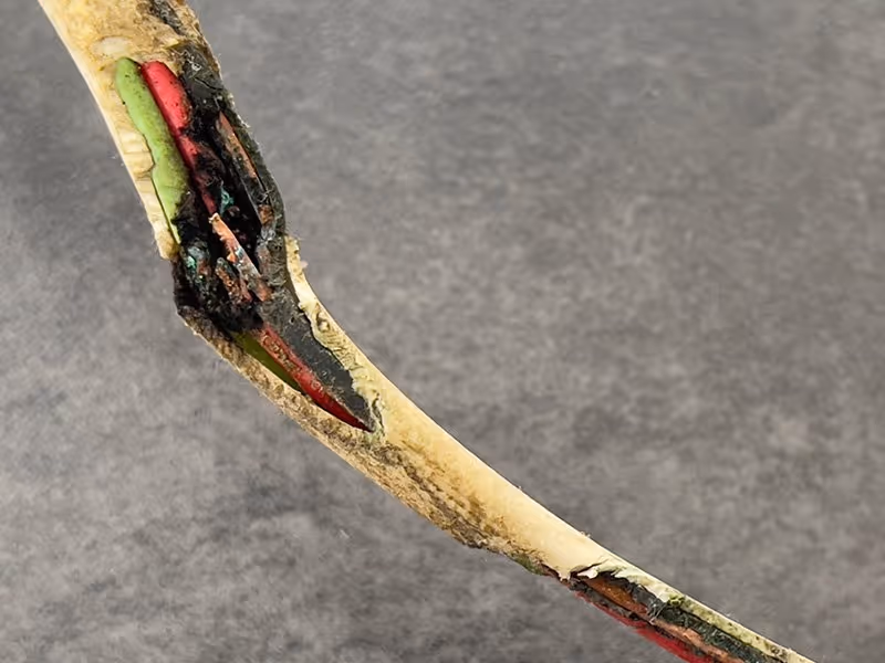 chewed electrical wires