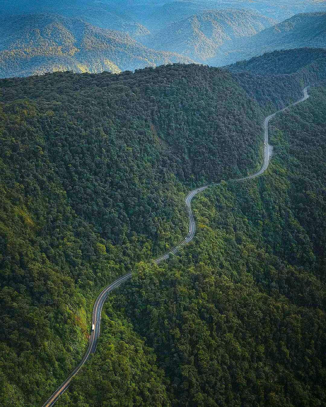 Paysage avec une route sinueuse qui passe à travers la forêt