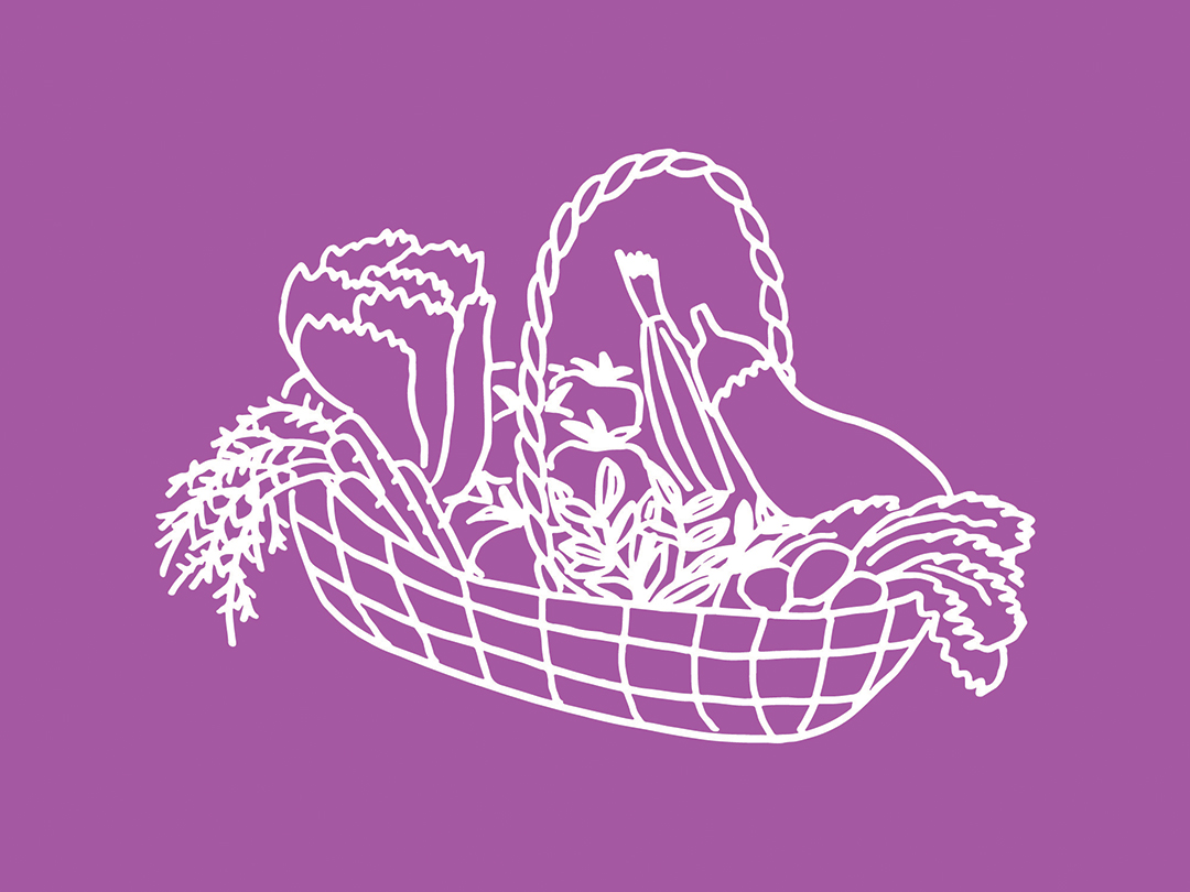 Line art drawing of a basket filled with food and vegetables, white lines on purple