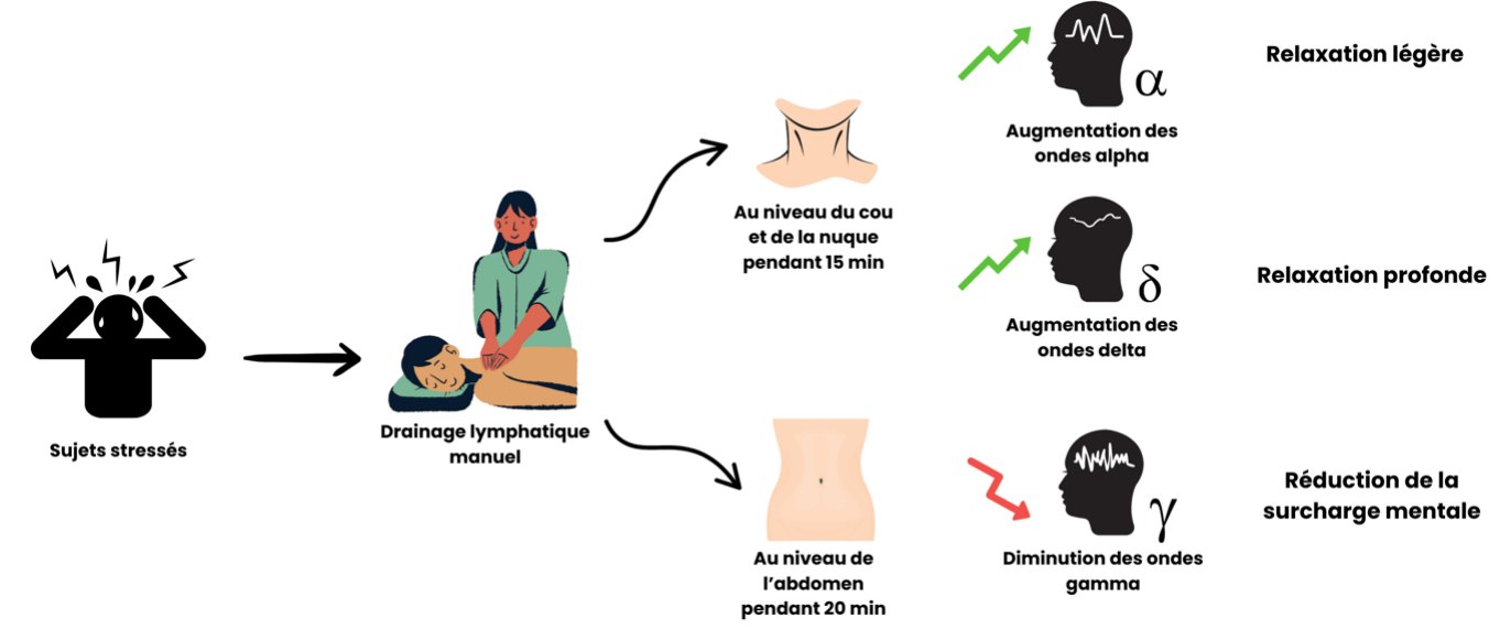 Stress, fatigue, tensions : comment le drainage lymphatique agit vraiment sur le cerveau et le corps