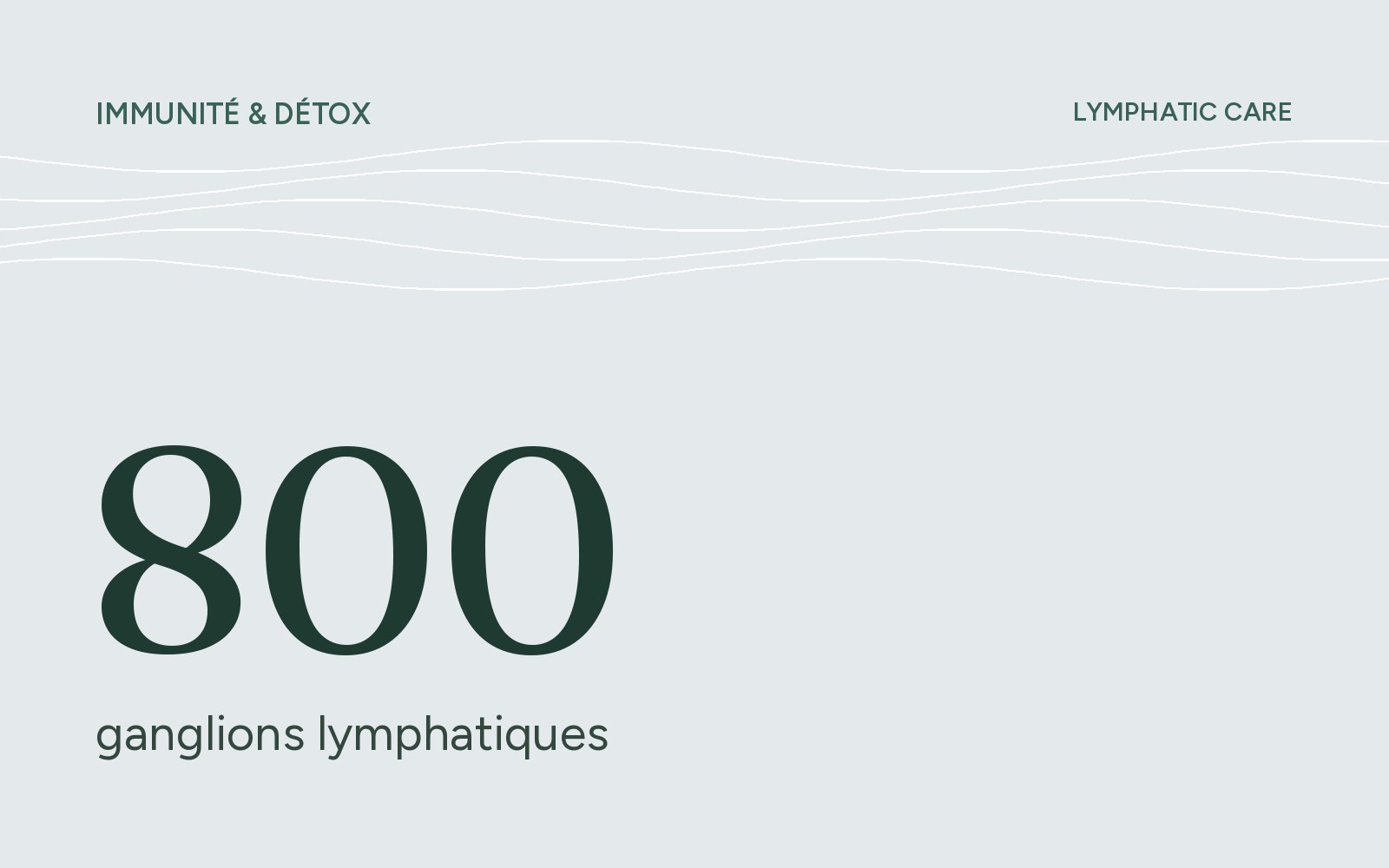 Et si un ralentissement de votre système lymphatique expliquait votre maladie ?