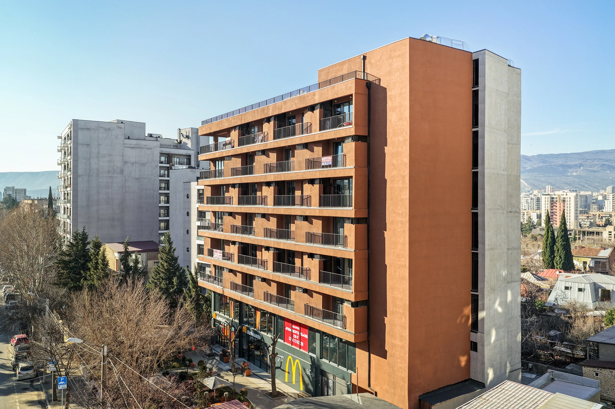 დადიანი N100