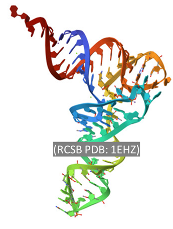 Welcome to Cisterna's blog