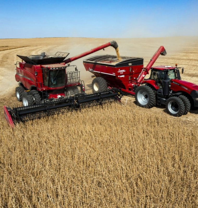 U.S. Soybean Farmers Race to Reclaim China Market Amid Lingering Trade Turbulence