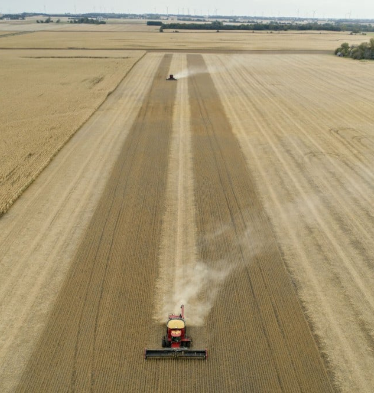 American Farmers Battle to Revive Soybean Exports to China