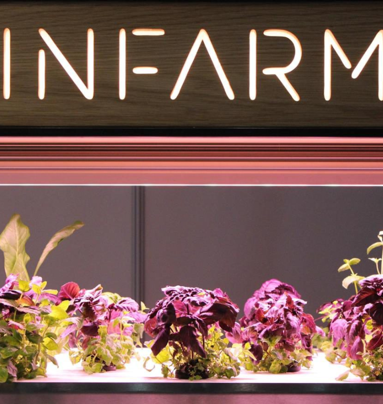 Infarm — The Startup Bringing Fresh Produce Directly to Cities