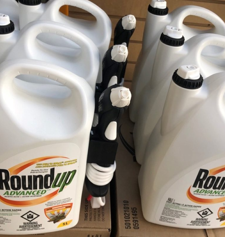 Bayer Shares Surge as U.S. Government Backs Limits on Roundup Lawsuits