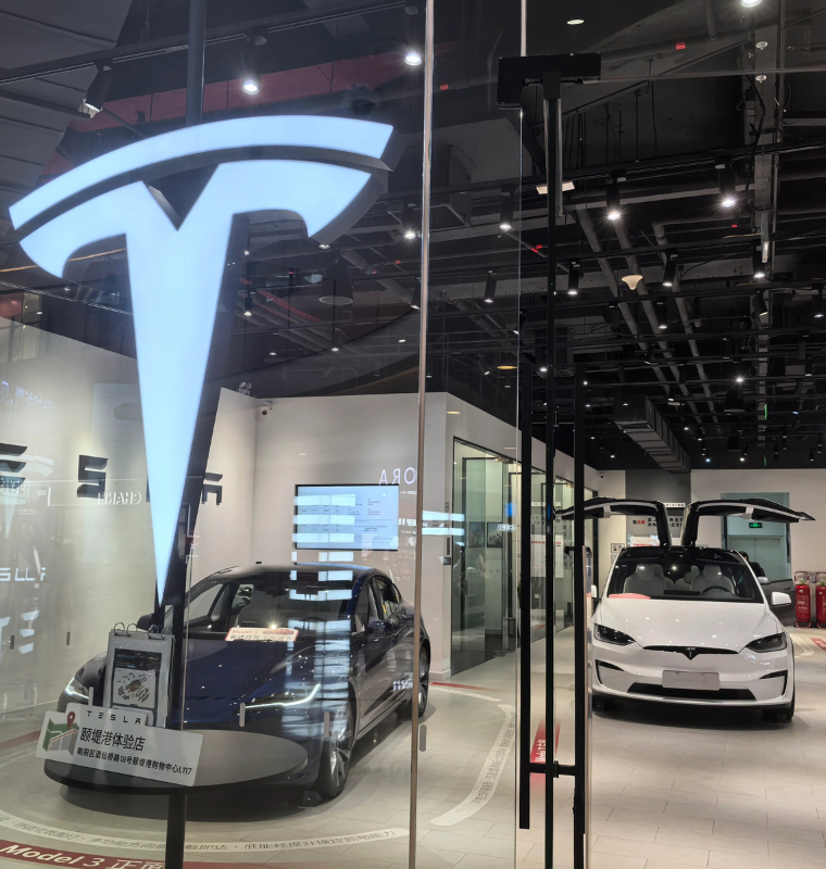Tesla Holds Its Ground in China’s Crowded EV Market Despite Slowing Industry Momentum