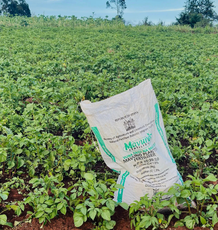 Strait of Hormuz Disruption Sparks Fertilizer Shortages and Global Food Security Concerns