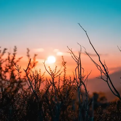 Osteopathiebehandlung Baby