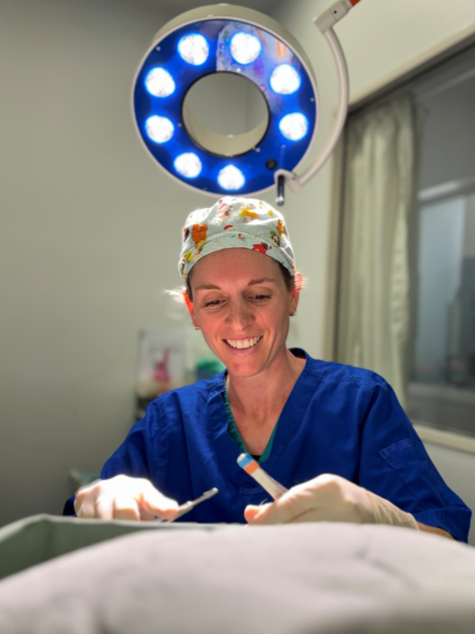 Pet check-up – Albury Wodonga veterinary services