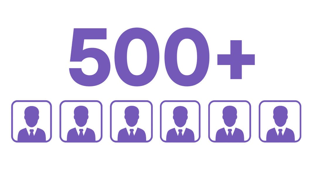 Large companies with 500+ employees