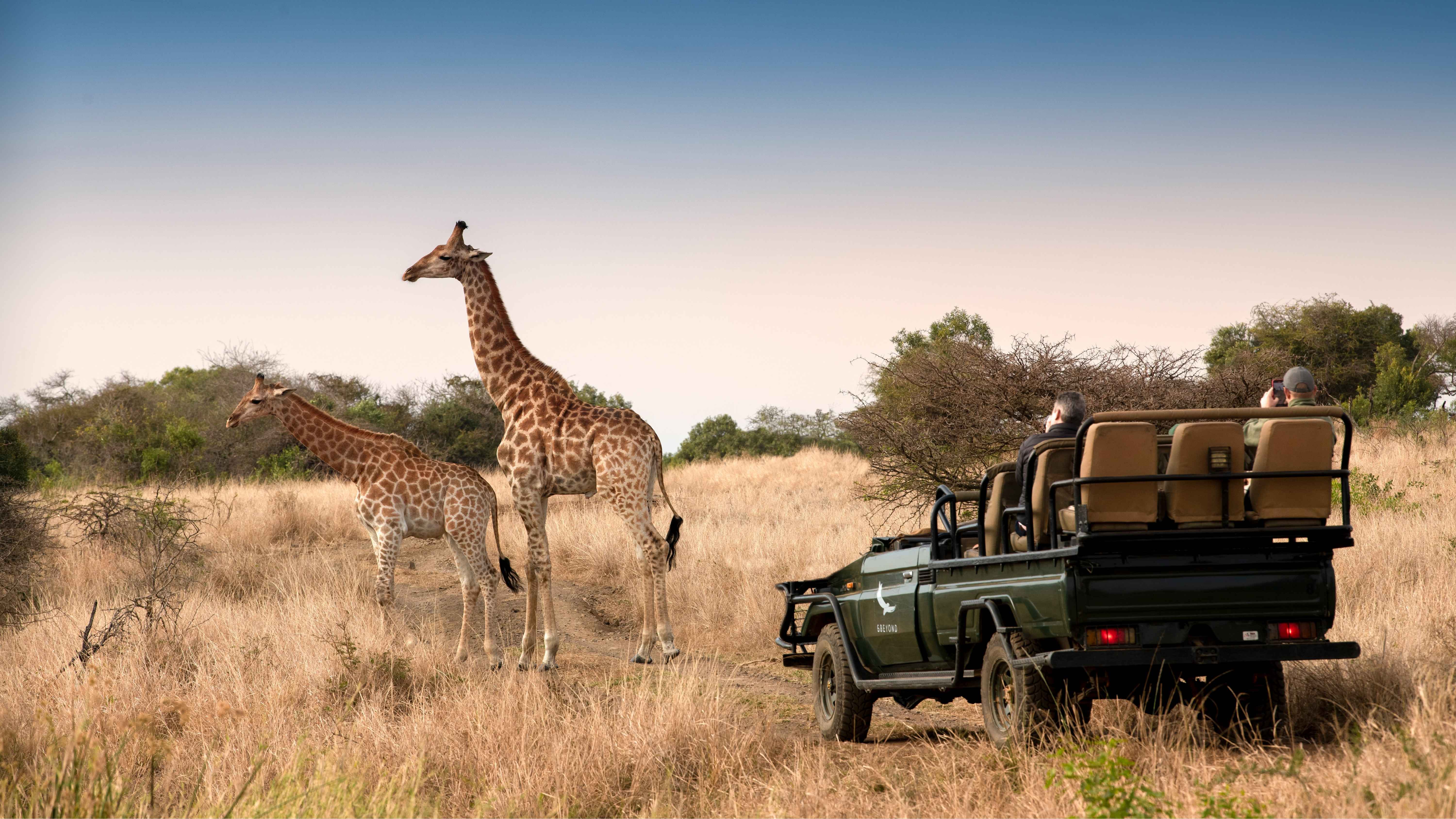 Erlebnisreise im Phinda-Reservat in Südafrika
