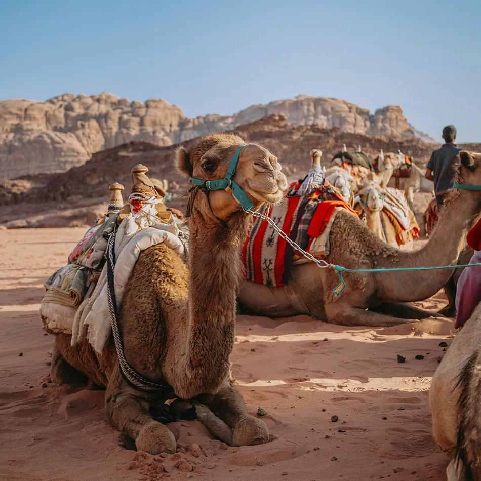 Jordanien