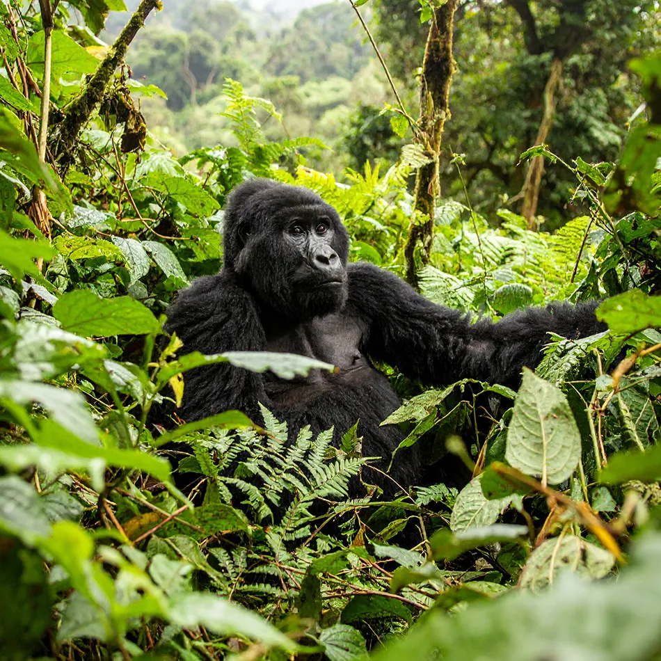 Ruanda