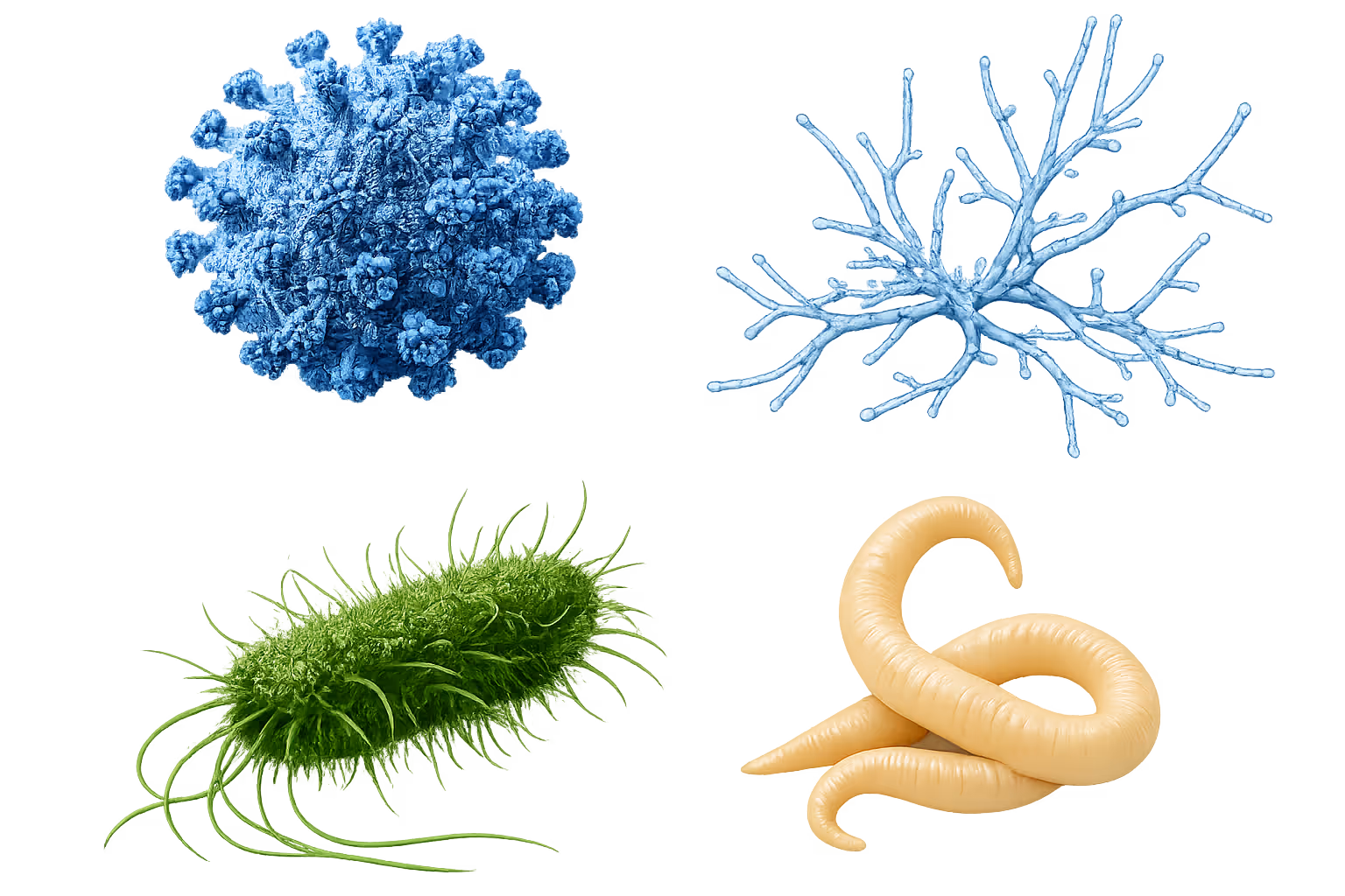 Pathogen & infectious disease tests for multiple species