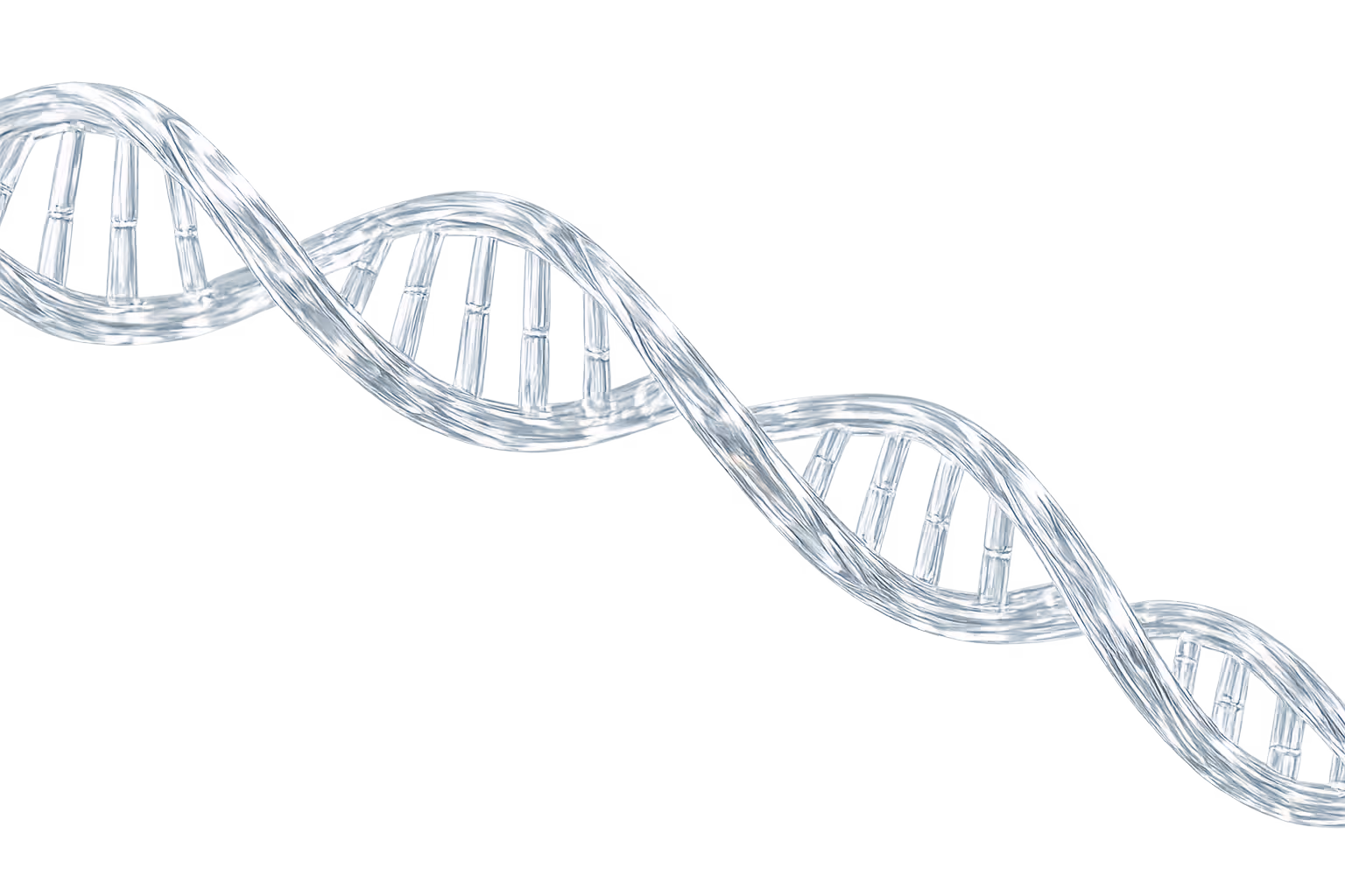 DNA & genetic tests for cattle
