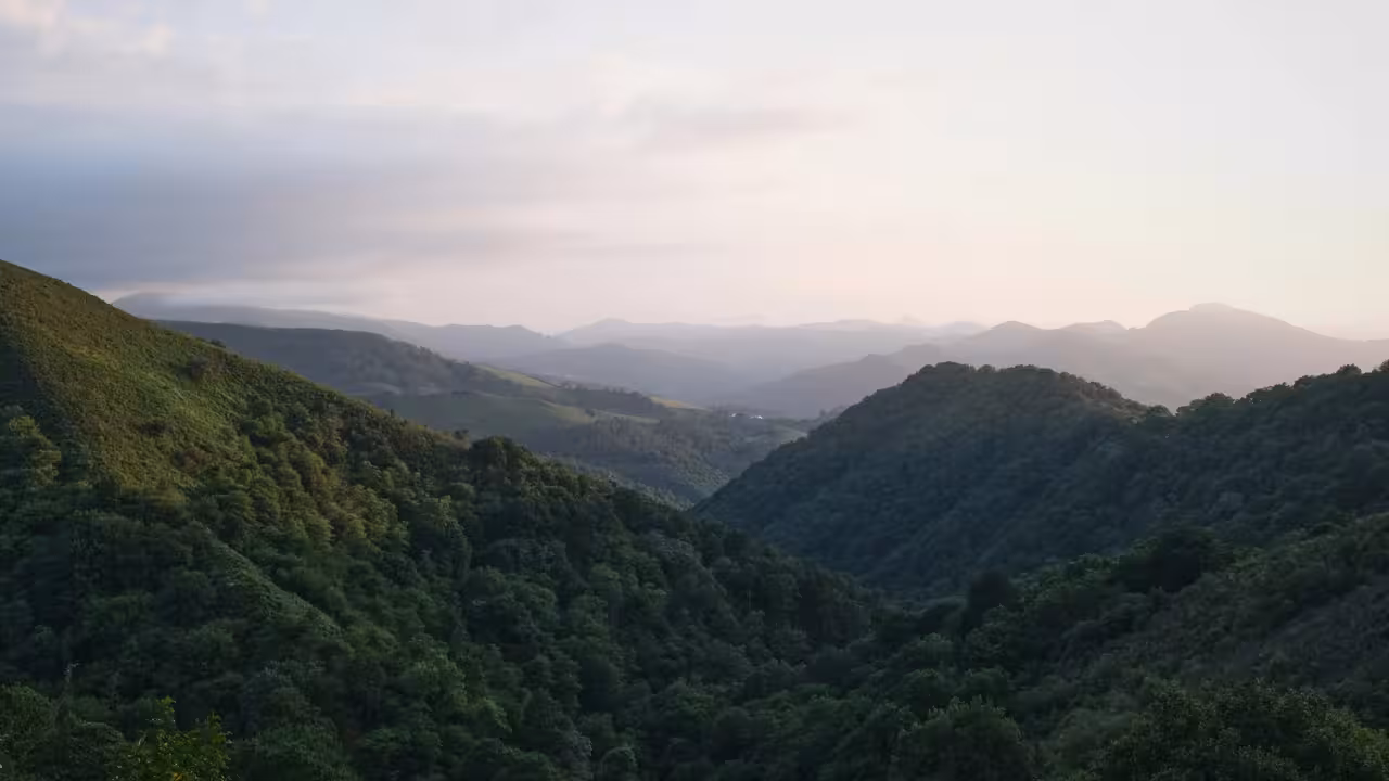 Forested green hills and valleys fading into layered, hazy mountain ridges under a soft pink sky.