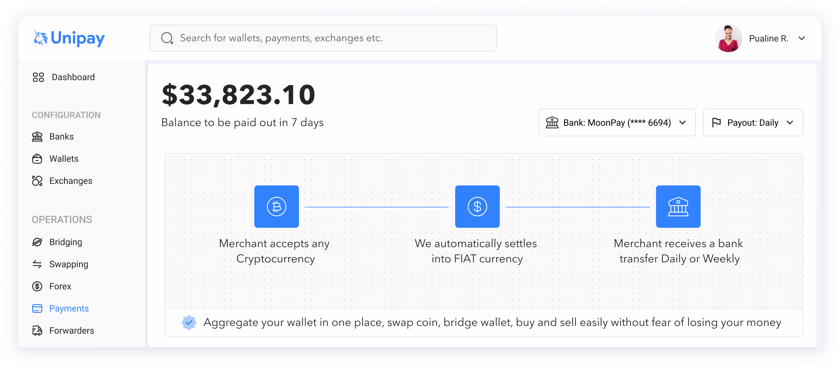 Unipay dashboard UI Snippet